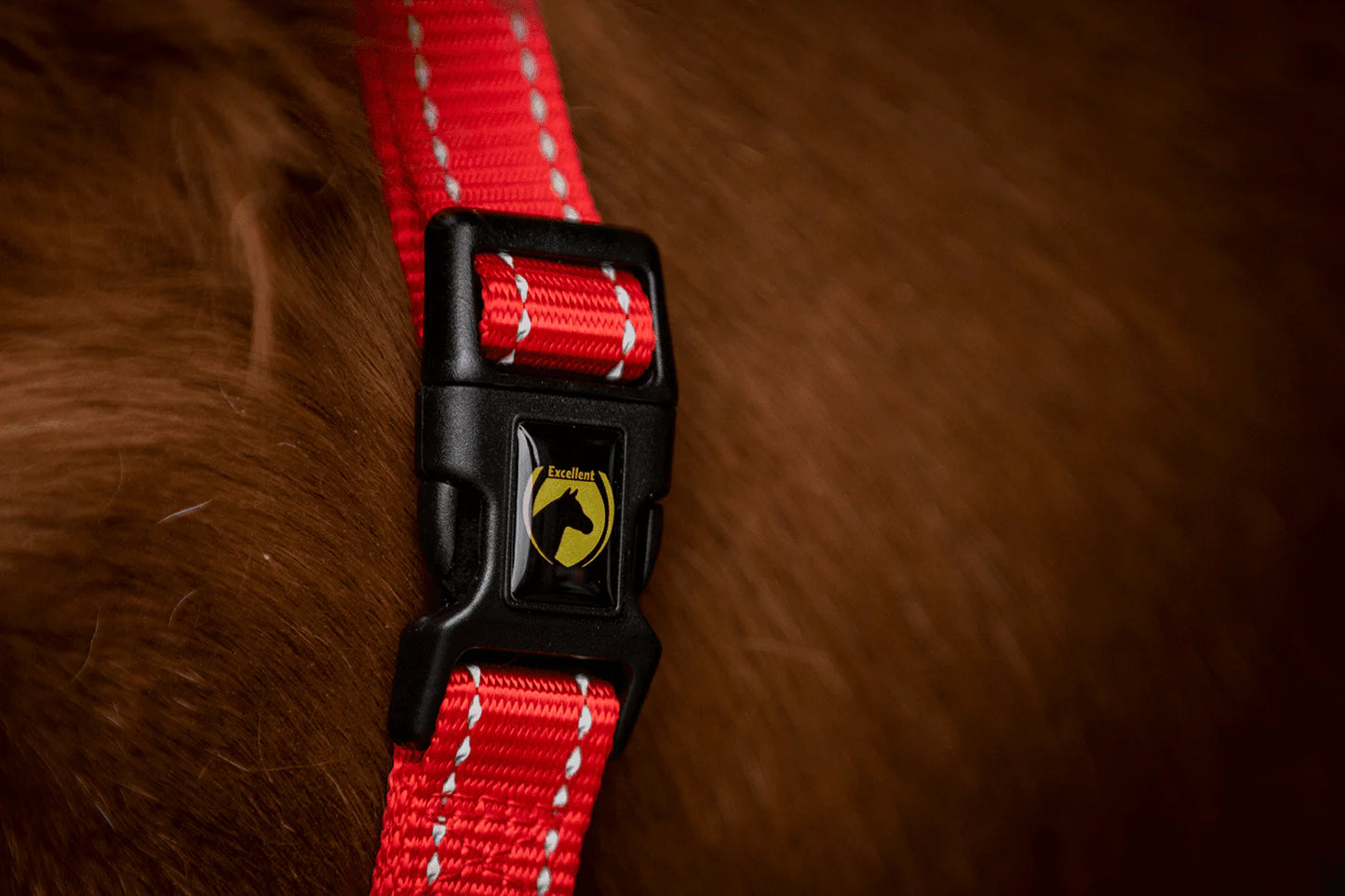 Superior Halter - Red