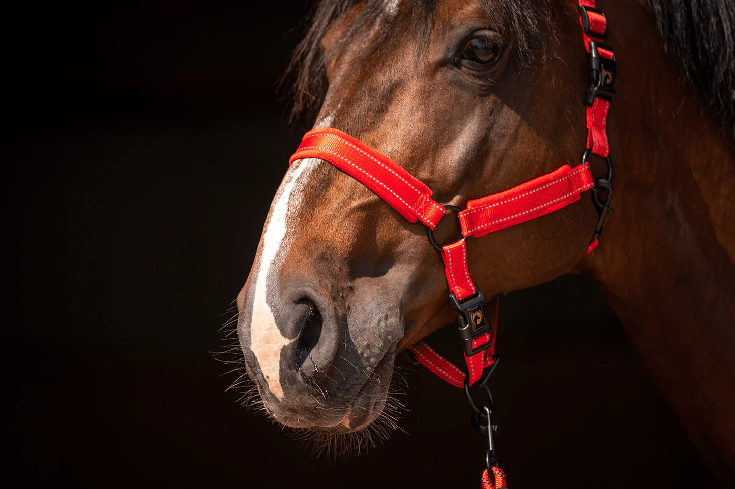 Superior Halter - Red